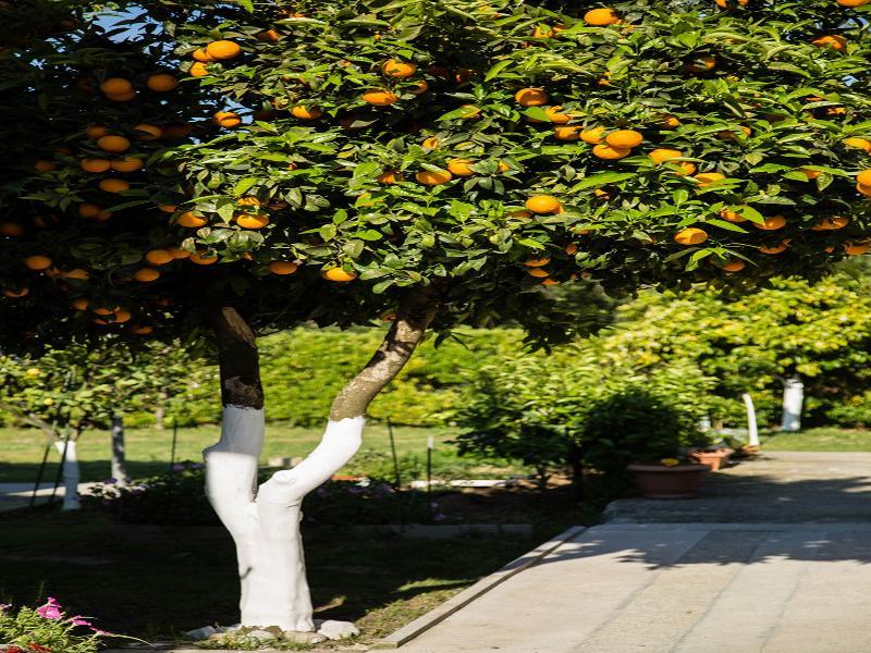 Paradise Village Roda  Ngoại thất bức ảnh